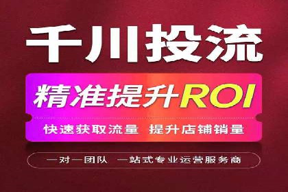 百度推广费用的投入与市场占有率提升的关联案例